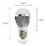 Warm White Smd A50 3w E26/e27 Led Globe Bulbs - 5