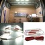 LED Car Interior Sprinter Ducato Transit LWB Van Lorries 10pcs Light DIY 12V - 2