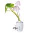 Light Colorful Style Us Plug Induction Mushroom Switch - 2