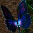 1-led Optic 2 Pcs Butterfly Colorful Light Lights Led Solar Light Fibre - 3