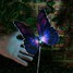 1-led Optic 2 Pcs Butterfly Colorful Light Lights Led Solar Light Fibre - 5