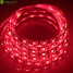 Led Strip Lamp Dc12v Green Blue Red 300x5050smd - 8