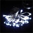 Light Plug Waterproof Outdoor 20-led 2m - 3