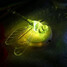 Dragonfly 10pcs 100 Colorful Can Nightlight - 2