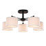 White Inch Fixture And Black Light Ceiling Light - 2
