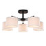White Inch Fixture And Black Light Ceiling Light - 2