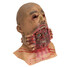 Zombie Costume Party Face Halloween Latex Walking Prom Prop Mask Universal - 3