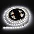 Strip Lamp Cool White Light Led 300x3528smd Zdm 100 5m 24w 12v - 2