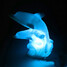 Dolphin Home Decoration Cat Acrylic Night Light Creative 100 - 1