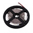 Warm White 1156 5m Cool White Led Strip Lamp 40w Led Smd - 1