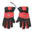 Male and Female Warmer Heated Gloves Motorcycle Electric Waterproof - 1