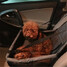 Mats Pet Bag Booster Carrier Seat Oxford Cloth Car Belt Travel - 4