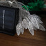 Gifts Led Solar White Outdoor Decor Christmas 30led - 3