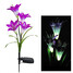 Decorative Lights Stake Walkway Flower Led Solar Light Yard Solar Garden - 2