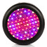 Full Led Spectrum Led Grow Light Lamp Plants 200w Growing Hydroponics - 1