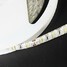 Led Strip Flexible Led Waterproof 5m 300led White Smd - 2