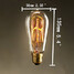 Edison Tungsten Lighting 60w St58 Source - 2