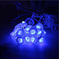 Plug Star Waterproof Led Light 2.5m 20-led Christmas Holiday Decoration - 2
