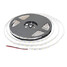 120w Led Strip Light Zdm Dc12v 600x5050 2×5m Cold White - 2