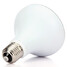 12w E27 Candle Lampada Led Bombillas - 5