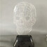 Colorful Table Lamp Led Decoration Usb 3d Skull - 1