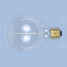 Light Bulbs G95 Around Incandescent Carbon 40w Silk - 2