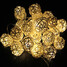 White Balls Party 20 Pcs Patio Rattan String Light - 1