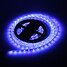 Zdm 300x3528smd 24w Light Led Strip Lamp Blue 100 5m - 2