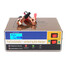 Car Motorcycle Battery Charger LED Screen Intelligent Pulse Repair Type 12V 24V Electric 100AH - 6