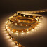 5w Warm White 300x3528 Led Strip Lamp Flexible 5m - 3