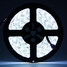 Button 100-240v Zdm Led Strip Light 5m 300x5050 Rgb Smd - 7