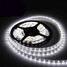 3528 SMD Strip Light LED Waterproof Car 5M 12V Four Colors - 3