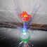 Coway Optical Fiber Bottle Random Color Led Night Light Colorful Rose - 4