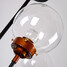 Glass Wrought Iron Personality Ways Creative Droplight Ball Magic Modern - 2
