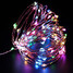 Festival Outdoor Waterproof Christmas Party Copper Wire 100led String Light - 5