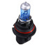 Bulbs White 100W HB2 Halogen Xenon Low Beam Light 6000K - 4