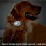Pet Dog LBS Alarm Kids WIFI LED Light Car Anti Theft GPS Tracker Locator SOS Mini Waterproof - 3