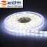 5m Zdm 300x5630 Light Warm White Blue Cool - 3