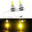 12V 55W Headlight Infiniti Bulbs Pair Xenon G20 Yellow Low Beam H3 - 1