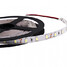 Warm White 1156 5m Cool White Led Strip Lamp 40w Led Smd - 2