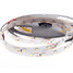 3528smd White Light Light Strip 5m Waterproof Light-emitting Dc12v Diode 300led - 2