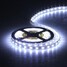 5M 5050 SMD LEDs Flexible Strip Light - 3