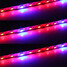 Plants Full Growing 300leds Lighting Led Strip - 3