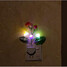 Colour Decoration Mini Light Rose Gifts Lamp Led Lights Room - 5