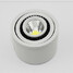 Mount Track Led Ceiling Lights Downlight Light 3w Ac85-265v Led Cob - 7