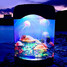 Fish Aquarium Lights Creative Desktop Electronic - 3