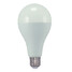 Natural White E26/e27 Led Globe Bulbs 1 Pcs 20w Waterproof Cool White - 1