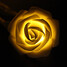 Warm 220v 20-led Rose White Light Led String Light - 2