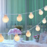 Batteryhome Decorate Outdoor Led String Light Christmas 1pc 5m Dip - 2