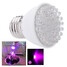 Flower Grow Plant Grow Led Blue Garden 100lm - 6